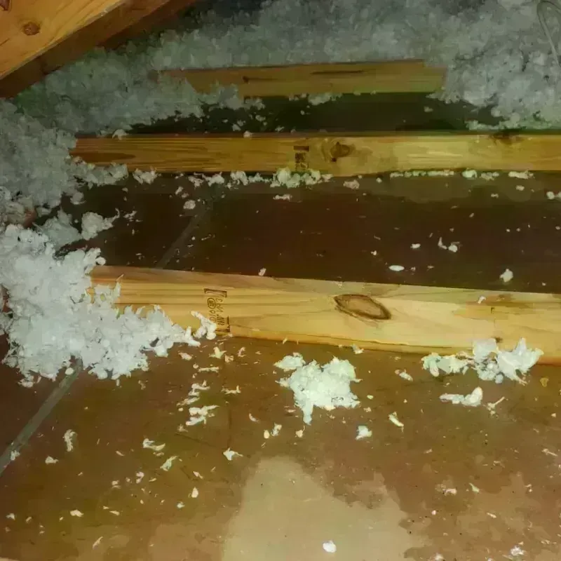 Attic Water Damage in Benton, AR